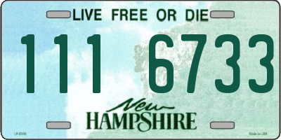 NH license plate 1116733