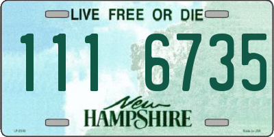 NH license plate 1116735