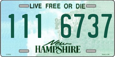 NH license plate 1116737