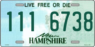 NH license plate 1116738