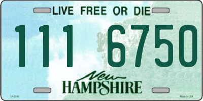 NH license plate 1116750