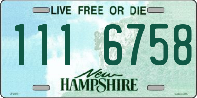NH license plate 1116758