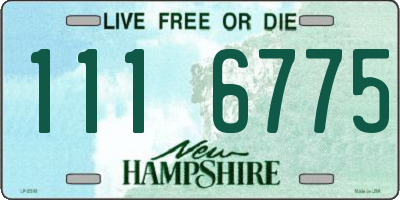 NH license plate 1116775