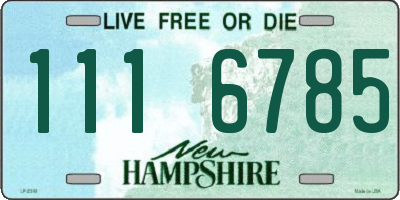 NH license plate 1116785