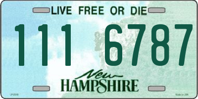 NH license plate 1116787