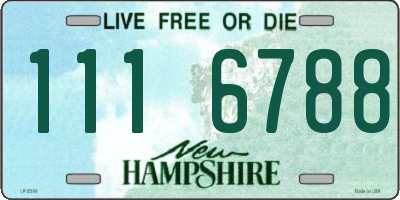 NH license plate 1116788