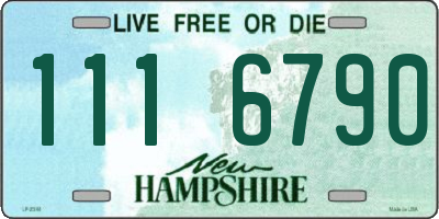 NH license plate 1116790
