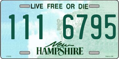 NH license plate 1116795