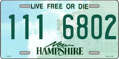 NH license plate 1116802