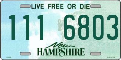 NH license plate 1116803