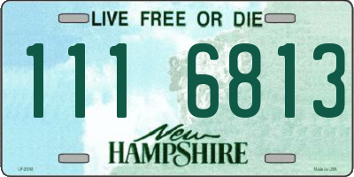 NH license plate 1116813