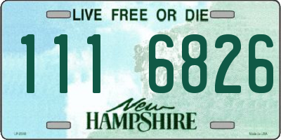 NH license plate 1116826
