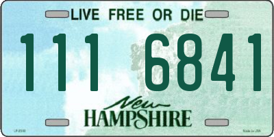 NH license plate 1116841
