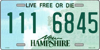 NH license plate 1116845