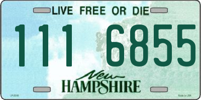 NH license plate 1116855