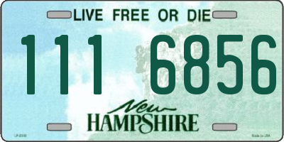 NH license plate 1116856