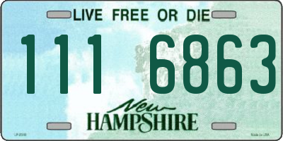 NH license plate 1116863