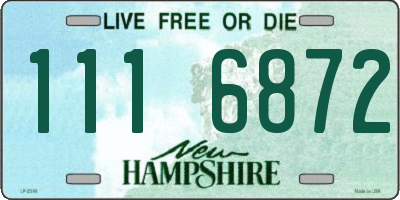 NH license plate 1116872