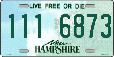 NH license plate 1116873