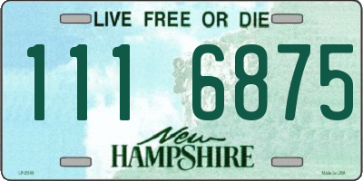 NH license plate 1116875
