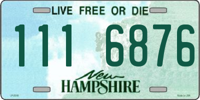 NH license plate 1116876
