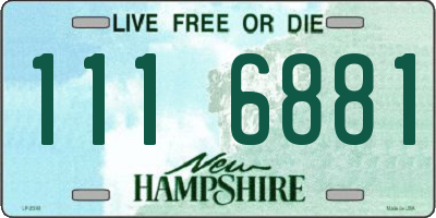 NH license plate 1116881