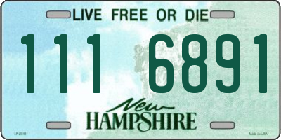 NH license plate 1116891
