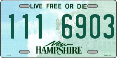 NH license plate 1116903