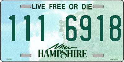 NH license plate 1116918