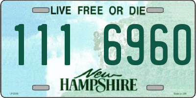 NH license plate 1116960