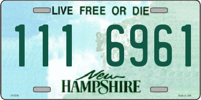 NH license plate 1116961