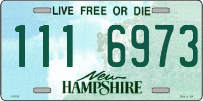 NH license plate 1116973