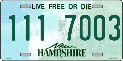 NH license plate 1117003