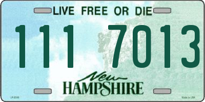 NH license plate 1117013