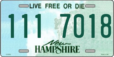 NH license plate 1117018
