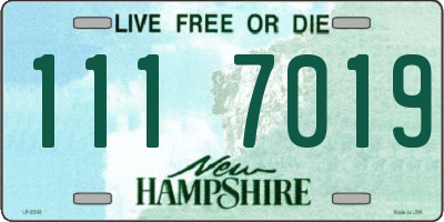 NH license plate 1117019