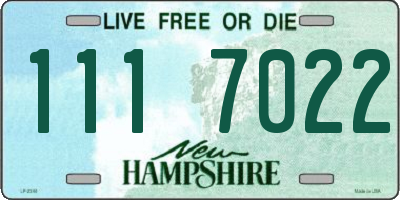 NH license plate 1117022