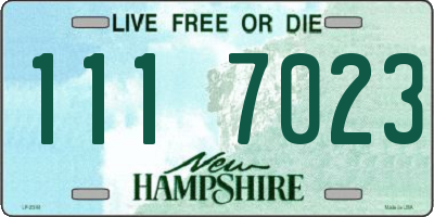 NH license plate 1117023