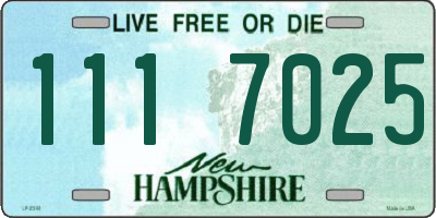 NH license plate 1117025