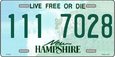 NH license plate 1117028