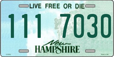 NH license plate 1117030