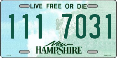 NH license plate 1117031