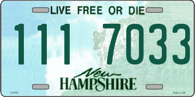 NH license plate 1117033