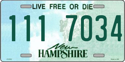 NH license plate 1117034