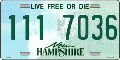 NH license plate 1117036