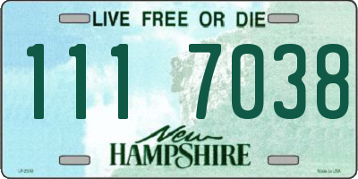 NH license plate 1117038