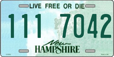 NH license plate 1117042