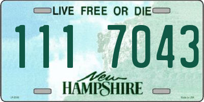 NH license plate 1117043