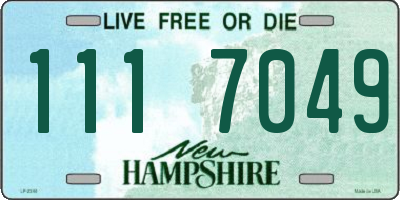 NH license plate 1117049