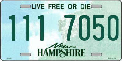 NH license plate 1117050